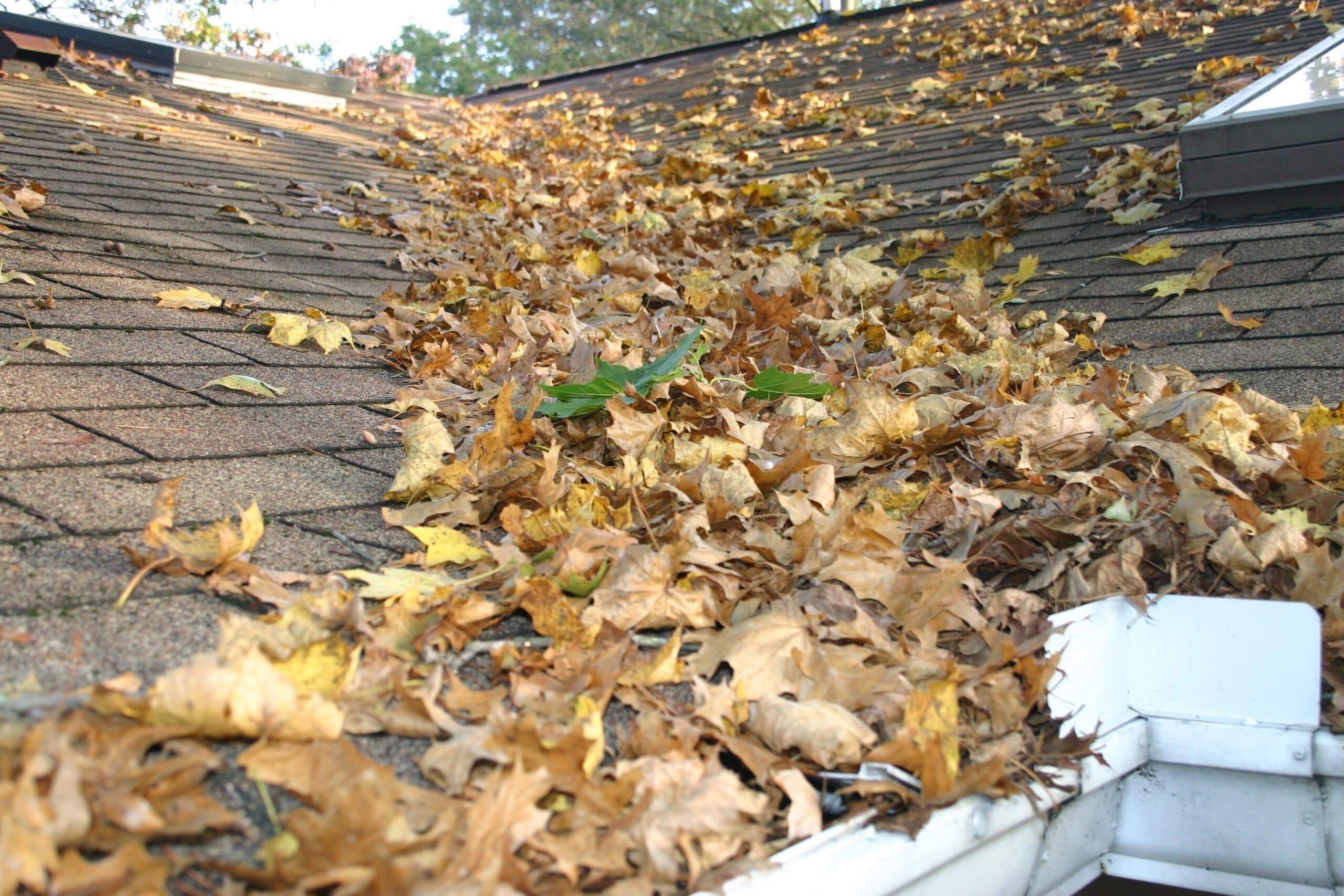 Fall time is gutter cleaning time