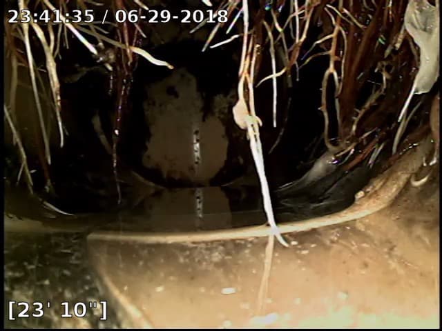 Image of roots breaking a sewer line during a scope inspection to help illustrate how long does a home inspection take