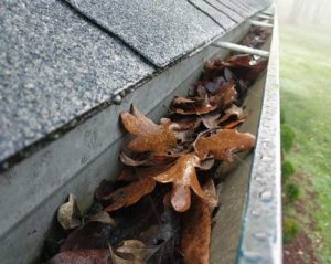Gutter full of Fall leaves