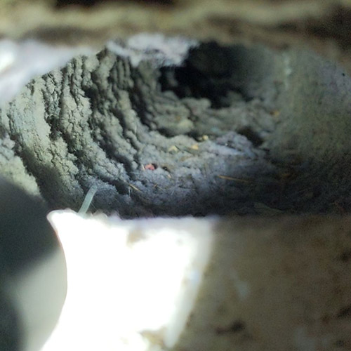 Duct Cleaning